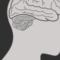 What are the 4 types of mental health?