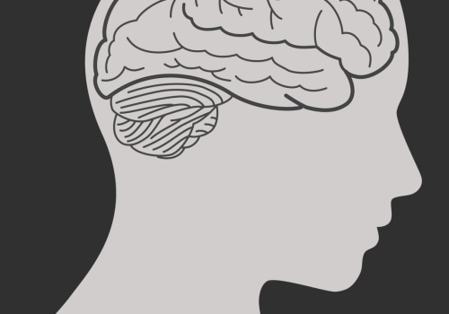 What are the 4 types of mental health?